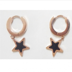 Stainless Steel Star Shaped Earring